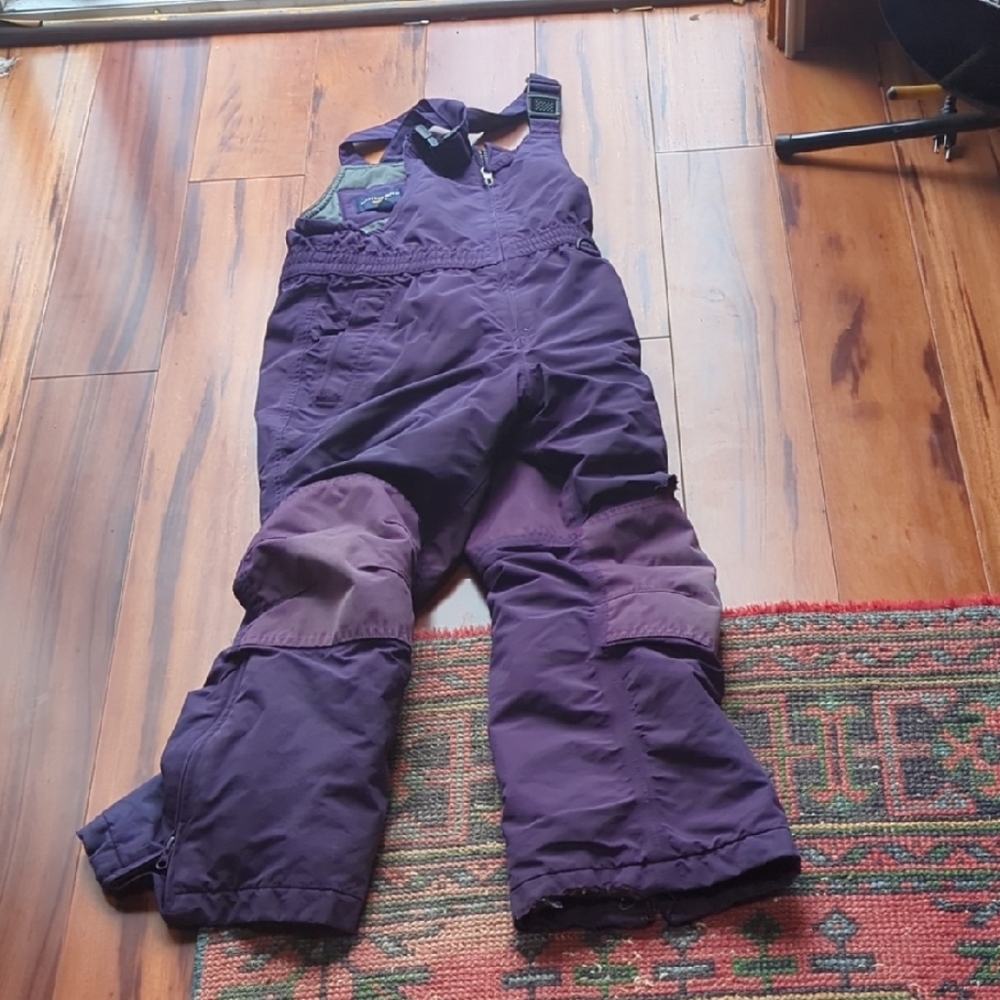 Lands' End Purple Snow Bib